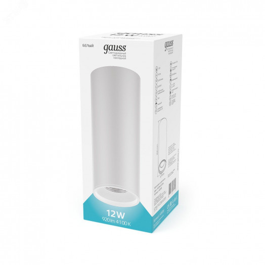 Светильник светодиодный накладной LED ДПО 12 Вт 920 Лм 4100К IP20 d79х200 мм монт d79 мм Overhead