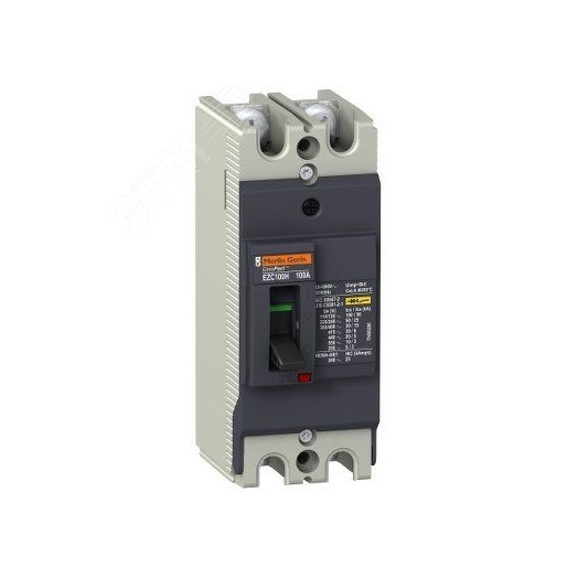 Выключатель автоматический двухполюсный EZC100 30 KA/380В 2Т 60 A