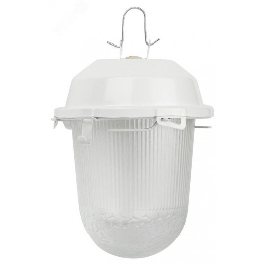 Светильник НСП 02-100-001 без решетки Желудь сталь / стекло IP54 E27 max 100Вт 170х260 белый