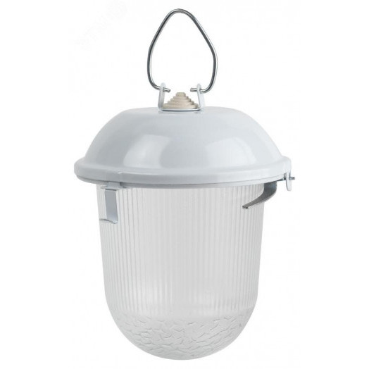 Светильник НСП 02-100-001 без решетки Желудь сталь / стекло IP54 E27 max 100Вт 170х260 белый