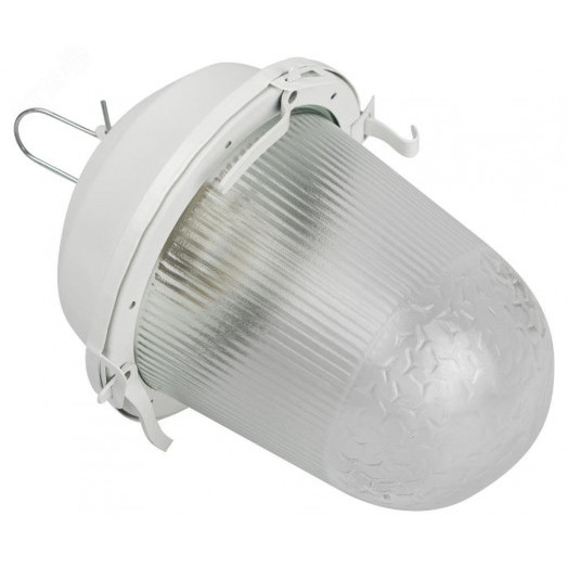 Светильник НСП 02-100-001 без решетки Желудь сталь / стекло IP54 E27 max 100Вт 170х260 белый