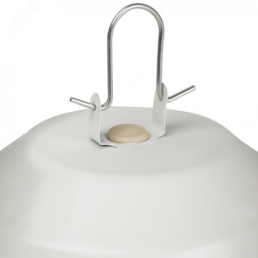 Светильник НСП 02-100-001 без решетки Желудь сталь / стекло IP54 E27 max 100Вт 170х260 белый