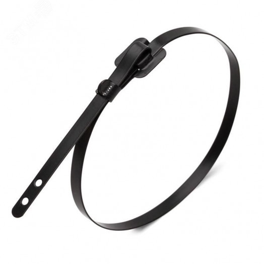 Стяжка стальная СКБ-П (316) 9.6x550