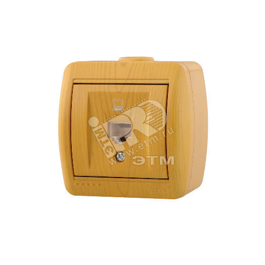 Ната Розетка компьютерная ольха