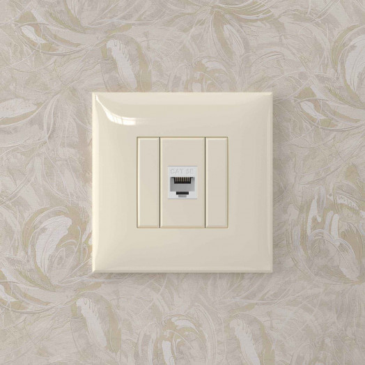 Avanti Компьютерная розетка RJ-45 без шторки в    стену кат.5е одинарная Ванильная дымка