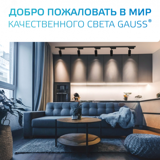 Адаптер универсальный для подключения светильника к трековой системе AC 220В Белый IP20 Track Gauss