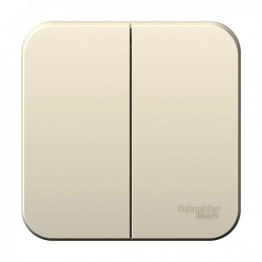 Выключатель наружный двухклавишный BLANCA (cх.5), с изолирующей пластиной, 10A, 250В, молочный