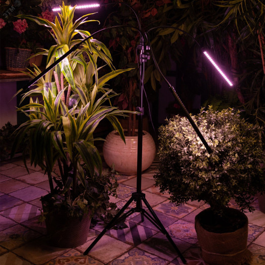 Светильник ULT-P32-36W/SPLE/TM/40 IP40 BLACK QUAD для растений светодиодный с таймером, на штативе Спектр для фотосинтеза