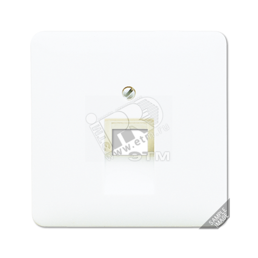 Крышка для ординарной телефонной и компютерной розетки  UAE  платина