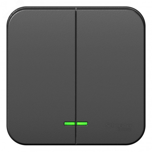 BLANCA двухклавишный выключатель наружный (cх.5) с подсветкой, 10A, 250B, антрацит