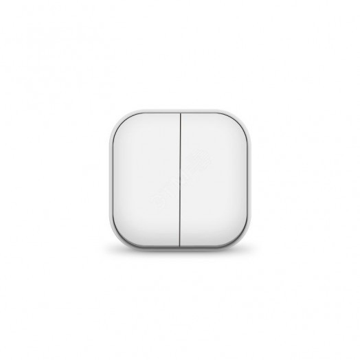 Выключатель двухклавишный серия IONICH, о/у, 10А, 220В, белый (еврослот)