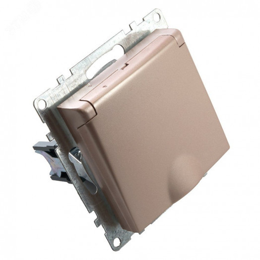 Розетка 1-местная с крышк с защ. штор (механизм) с/з, 250В, 16А, серия Катрин, шампань