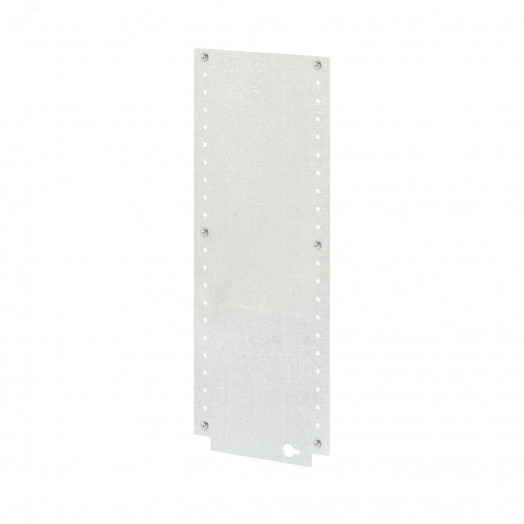 Боковая монтажная плата для навесных корпусов ВхГ 600x250 мм