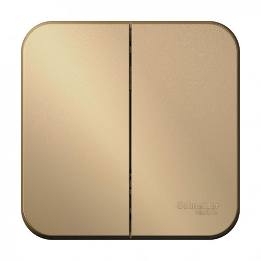 BLANCA  двухклавишный выключатель наружный  (cх.5), 10A, 250B, титан