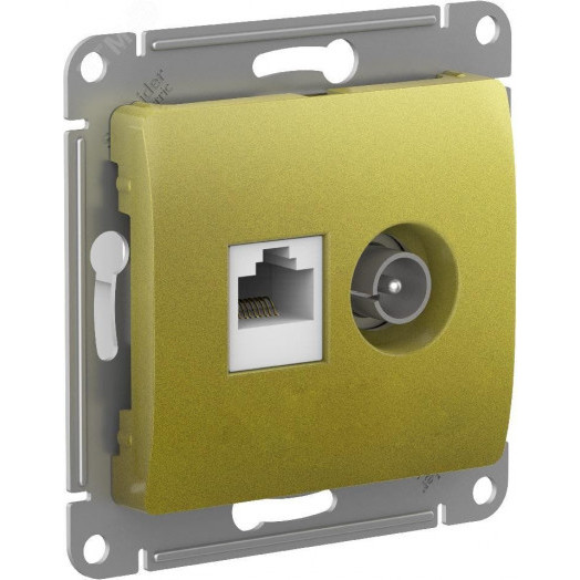 GLOSSA РОЗЕТКА двойная ТВ + компьютерная RJ45, кат. 5Е, ФИСТАШКОВЫЙ