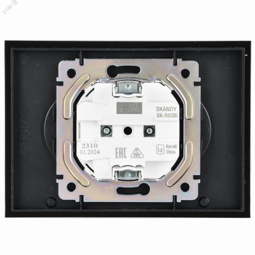 SKANDY Розетка 2-местная без заземления без защитных шторок для плоской вилки 10А SK-R03Bl стекло черный