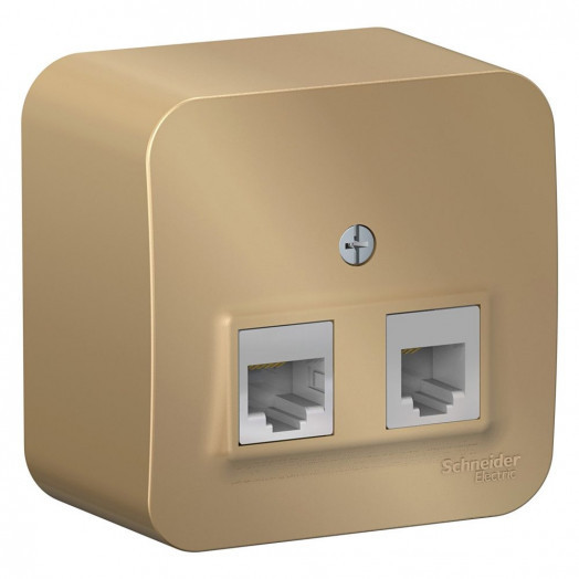 Розетка BLANCA наружная двойная компьютерная RJ45+телефонная RJ11, кат.5e, с изолирующей пластиной, титан