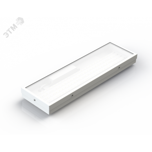 Diora NPO SE Glass Mini 30/3500 opal 4K