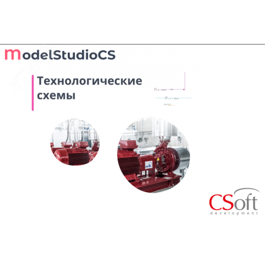 Право на использование программного обеспечения Model Studio CS Технологические схемы (3.x, сетевая лицензия, доп. место (1 год))