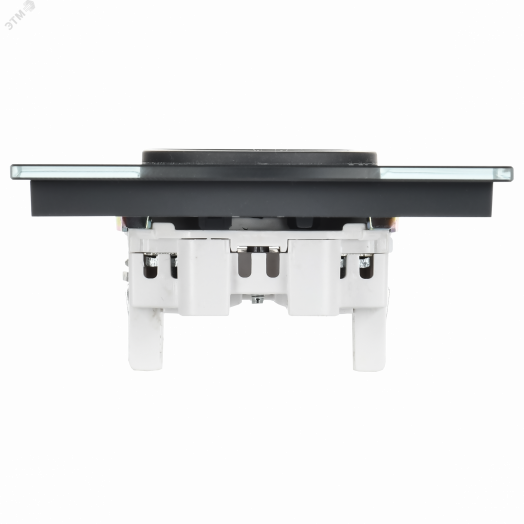 SKANDY Розетка 2-местная без заземления без защитных шторок для плоской вилки 10А SK-R03G стекло графит