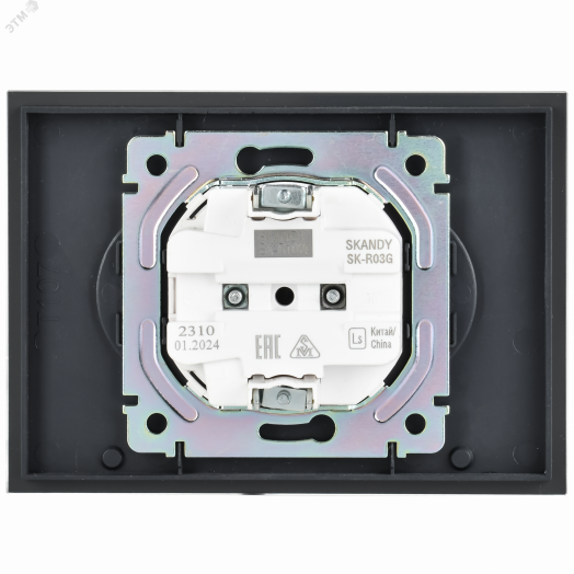 SKANDY Розетка 2-местная без заземления без защитных шторок для плоской вилки 10А SK-R03G стекло графит