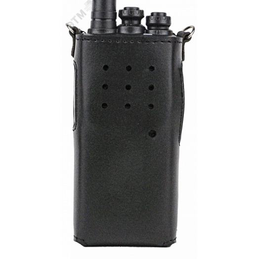 Чехол Аргут CH-55