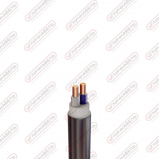 Кабель силовой ВВГнг(А) -LS 2x10 ок(N)-0,66