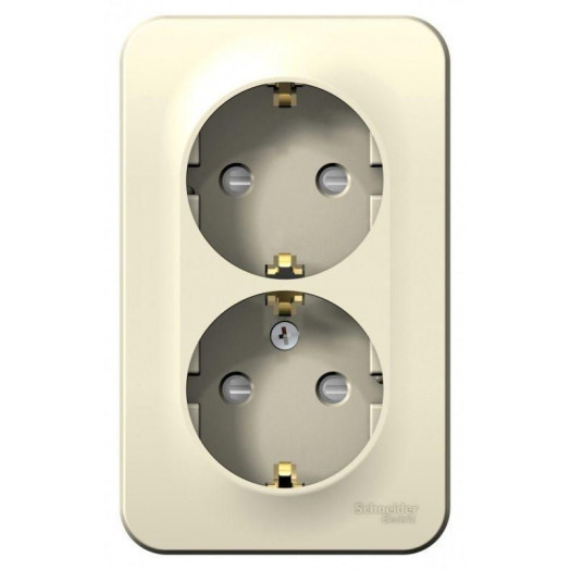 Розетка 2-м ОП Blanca 16А IP20 250В с заземл. защ. шторки с изолир. пластиной молоч. SE BLNRA011212