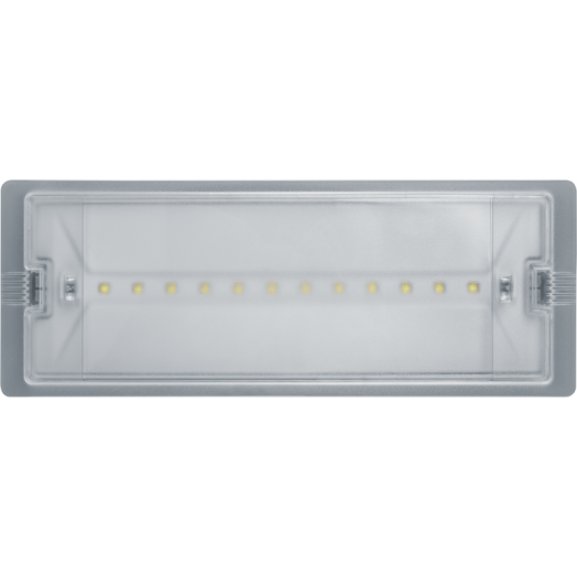 Светильник светодиодный 95 290 NEF-19 6Вт IP65 100лм 220-240В аккум. LiFePO4 600mAh аварийно-эвакуационный Navigator 95290