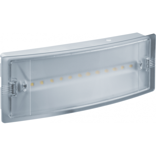 Светильник светодиодный 95 290 NEF-19 6Вт IP65 100лм 220-240В аккум. LiFePO4 600mAh аварийно-эвакуационный Navigator 95290