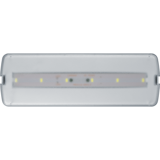 Светильник светодиодный 95 294 NEF-21 5Вт 300лм 220-240В IP20 акк. LiFePO4 1800мА.ч аварийно-эвакуационный NAVIGATOR 95294