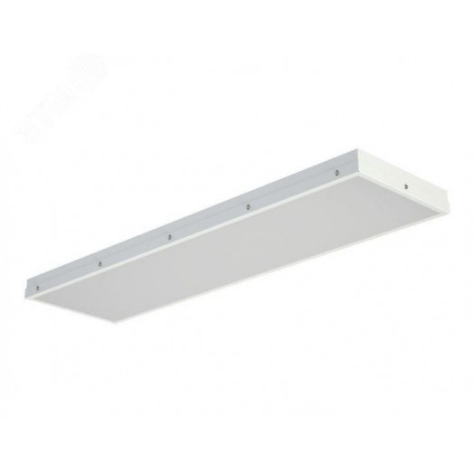 Светильник светодиодный TL06 OL ECP EM1 IP54