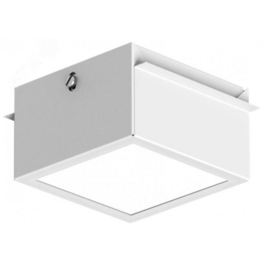 Светильник светодиодный TLGD01 OL ECP IP54 4000 К RAL9005