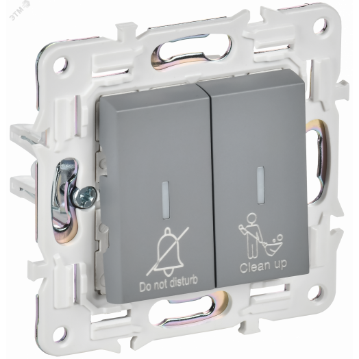 SKANDY Выключатель 2-клавишный с индикацией для отелей 10А SK-V16Gr серый IEK