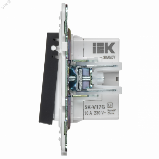 SKANDY Кнопка звонка с индикацией для отелей 10А SK-V17G графит IEK