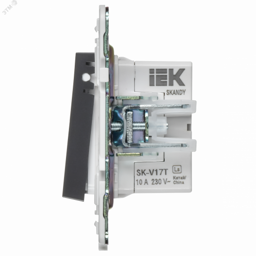 SKANDY Кнопка звонка с индикацией для отелей 10А SK-V17T титан IEK