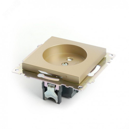 Розетка одноместная б/з (механизм) 250В 10А серия Катрин золото STEKKER