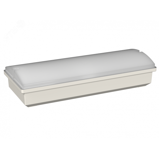 Аварийный светильник BS-METEORIT-10-L1-ELON 4000K