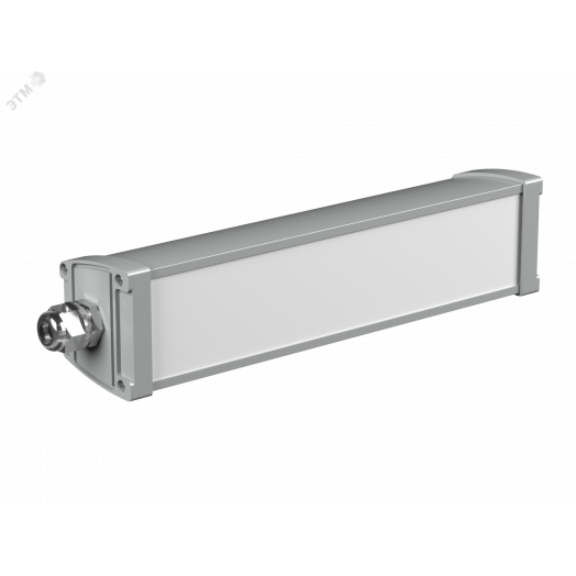 Аварийный светильник BS-AMON-10-L1-LED V03 3000K