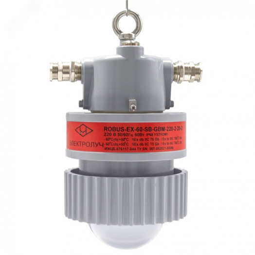 Светильник светодиодный взрывозащищенный ROBUS-EX-40-EM-СРС-220-2-25-О