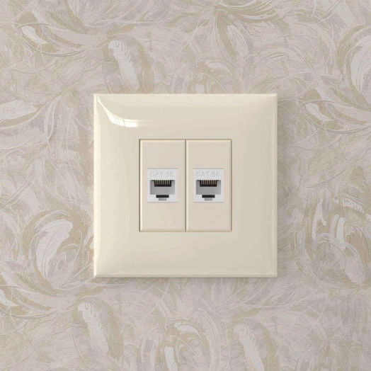 Розетка компьютерная 2-м СП Avanti "Ванильная дымка" RJ45 кат.5E без шторок механизм DKC 4405664