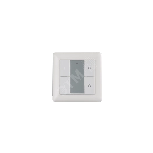 Кнопочная панель 4-х кл. DA-SW02 (2 группы)