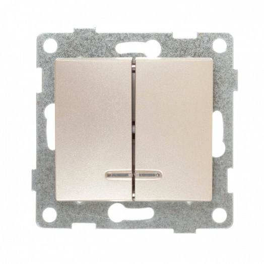 GUSI Bravo МЕХАНИЗМ Выключатель двухклавишный со светоиндикацией, скрытая  установка,  10А, 250В. Цвет: шампань