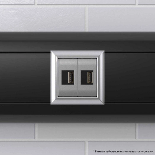 Устройство зарядное USB модульное 2мод. Avanti "Закаленная сталь" DKC 4404542