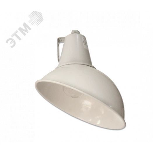 Светильник НСП-17-100-006 б/с IP20