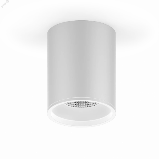 Светильник светодиодный ДПО 12 Вт 920 Лм 4100К цилинндр накладной 170-240 В 79х100 мм IP20 белый LED Overhead Gauss