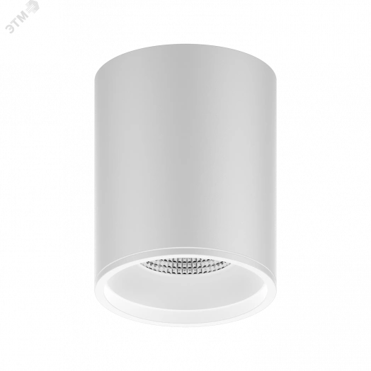 Светильник светодиодный ДПО 12 Вт 920 Лм 4100К цилинндр накладной 170-240 В 79х100 мм IP20 белый LED Overhead Gauss