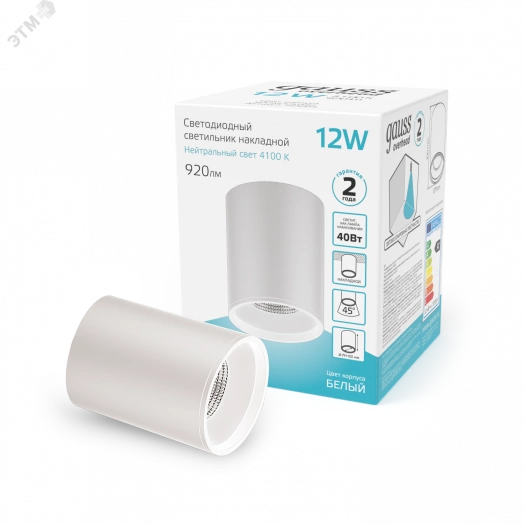 Светильник светодиодный ДПО 12 Вт 920 Лм 4100К цилинндр накладной 170-240 В 79х100 мм IP20 белый LED Overhead Gauss