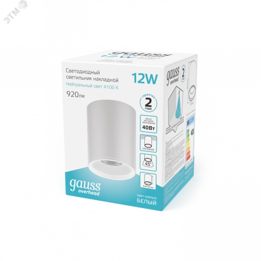 Светильник светодиодный ДПО 12 Вт 920 Лм 4100К цилинндр накладной 170-240 В 79х100 мм IP20 белый LED Overhead Gauss