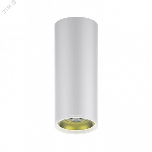 Светильник светодиодный ДПО 12 Вт 900 Лм 3000К цилинндр накладной 170-240 В 79х200 мм IP20 белый/золото LED Overhead Gauss